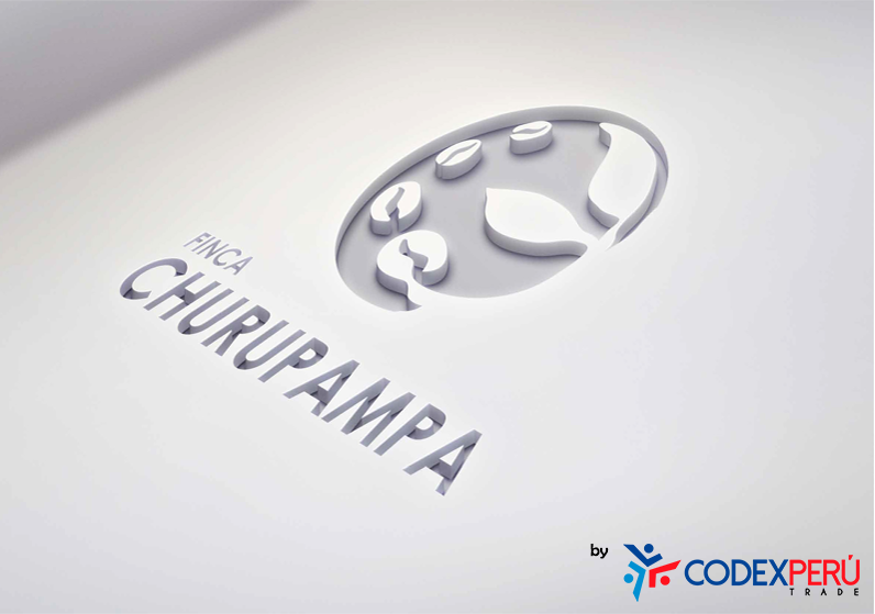  En Soluciones Empresariales