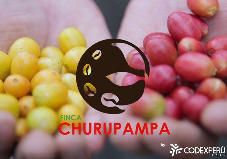  En Soluciones Empresariales