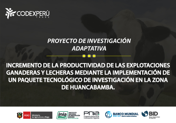  En Soluciones Empresariales